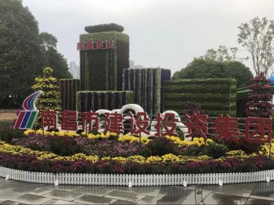 以菊为媒 以花为介 展现效劳都会与生长之宗旨——市JDB电子集团参展南昌市第三十四届菊花展