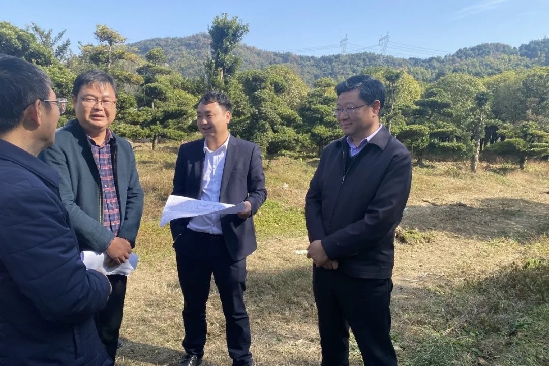 涂建平赴西二环高速项目和九洲高架东延项目现场调研指导事情